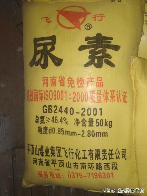 绿化草坪每平米价格 施肥多少钱,绿化草坪每平米价格 施肥多少钱啊