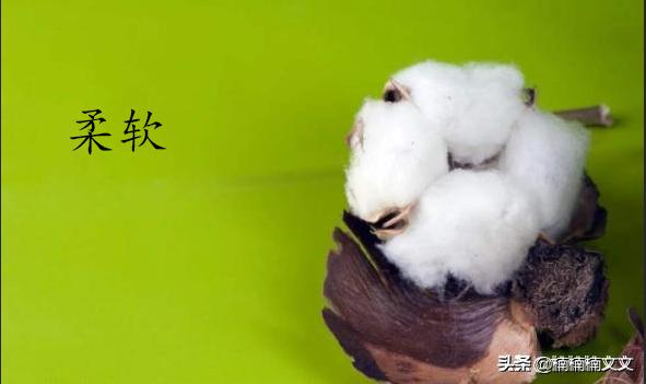 柔软的近义词是什么（柔软的近义词是什么词语）