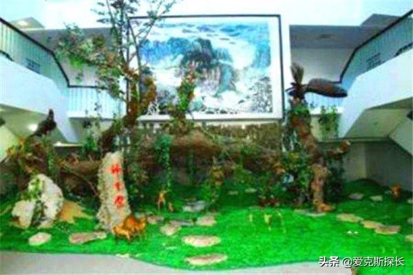 神农架必去的景点介绍(图8)