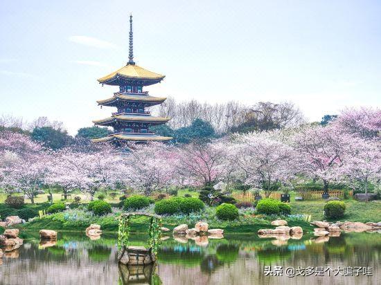 离湖北近的旅游景点大全， 离湖北近的旅游景点大全有哪些