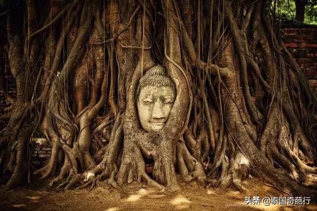 东方era攻略 东方eratw攻略  第3张