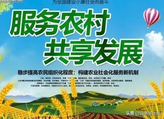 山村空间小农民_山村空间小农民笔趣阁