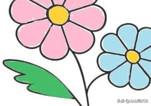 窗台上的花卉简笔画