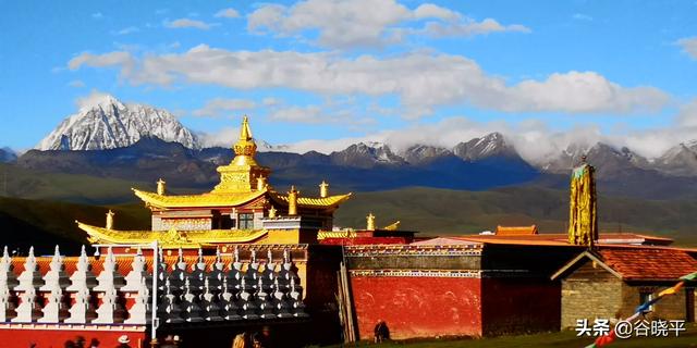 西宁市湟中区纸飞机账号购买服务