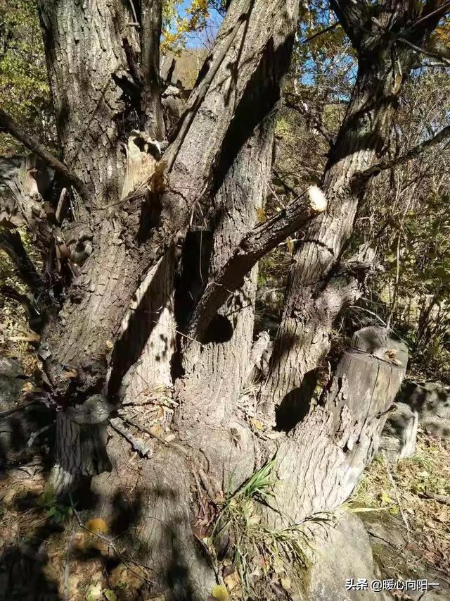 深圳出发三日游推荐-深圳出发三日游推荐路线