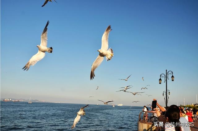 琼海环海自驾游路线，琼海环海自驾游路线图