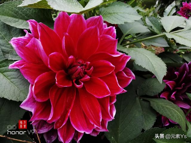 兰州市哪里有修照相机的