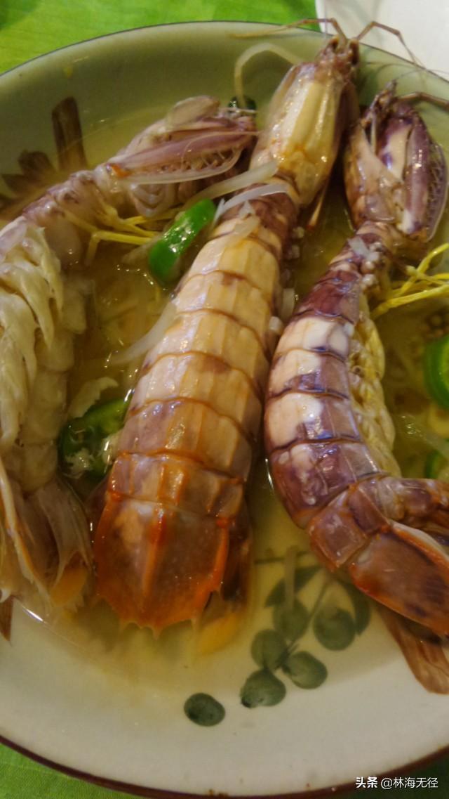 广州市是一个什么城市