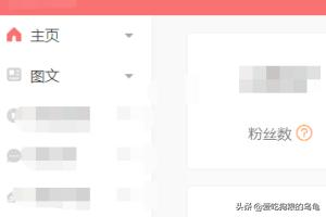 如何查看发布的外链信息记录