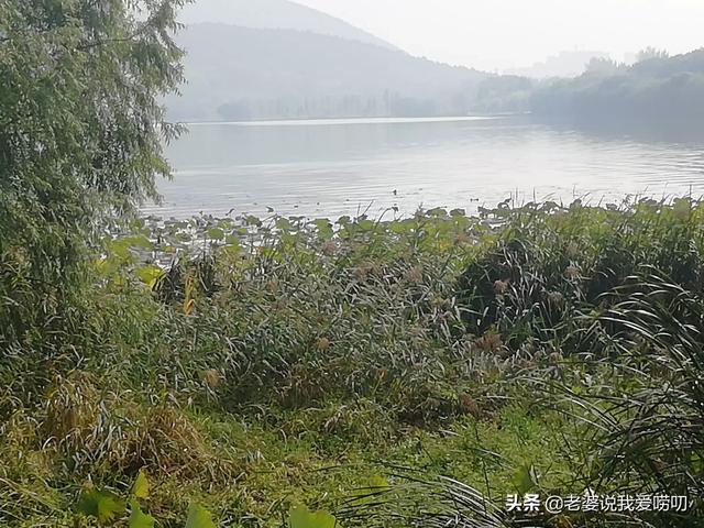 淮北徐州必去三个景点(图8)