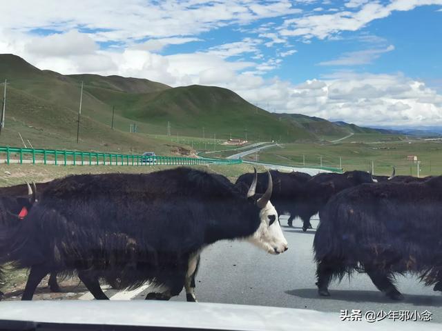 纳木错环湖自驾游路线，纳木错自驾环湖攻略