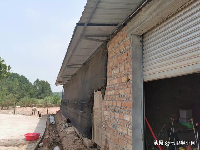 未来10大暴利养殖 奶牛养殖业现状与前景？