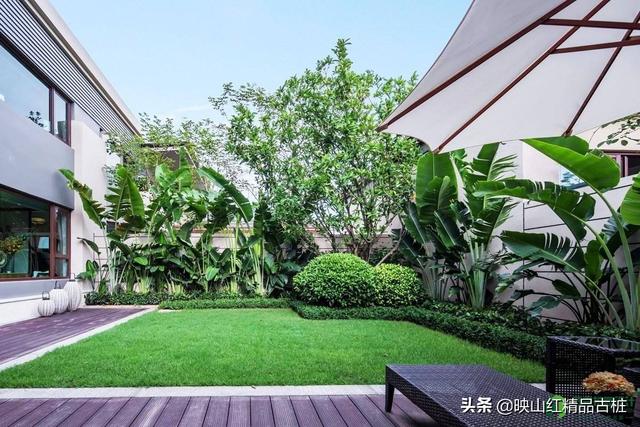 家庭种植草坪选什么品种好,第2张