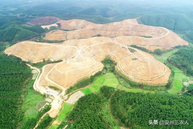 钦州花海攻略旅游路线， 钦州花海攻略旅游路线图