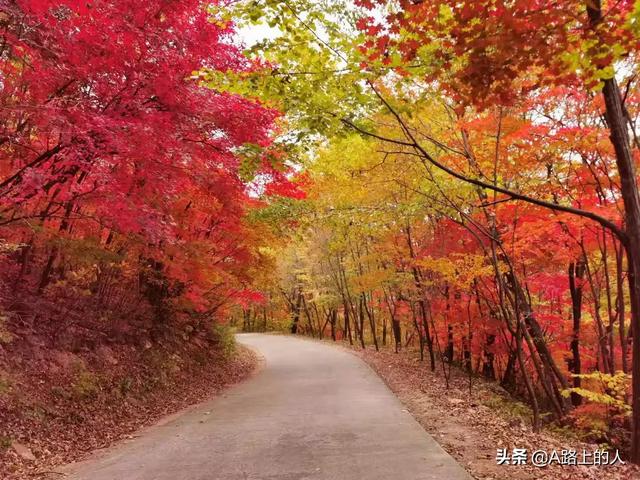 随州徒步旅游景点，随州徒步旅游景点推荐