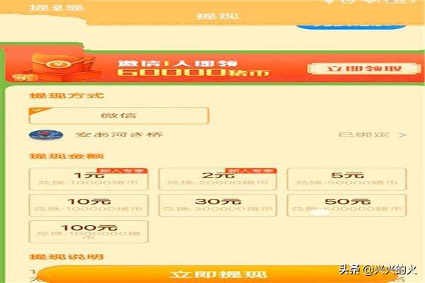 阳光养猪场赚钱 阳光养猪场赚钱版下载地址-第4张图片-随然AIR主题