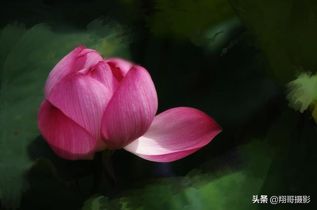 摄影穿着与背景如何搭配(图18)