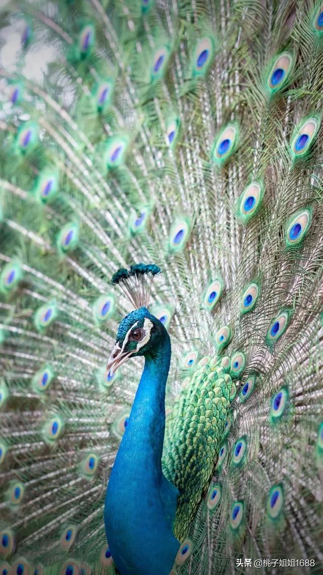 女人的微信名什么最好(图3)