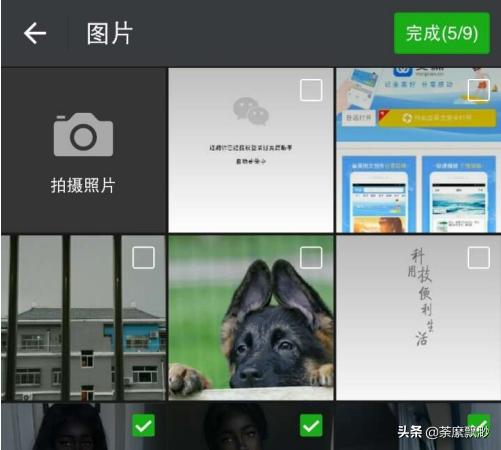 美篇制作教程（美篇如何快速编写文案？）