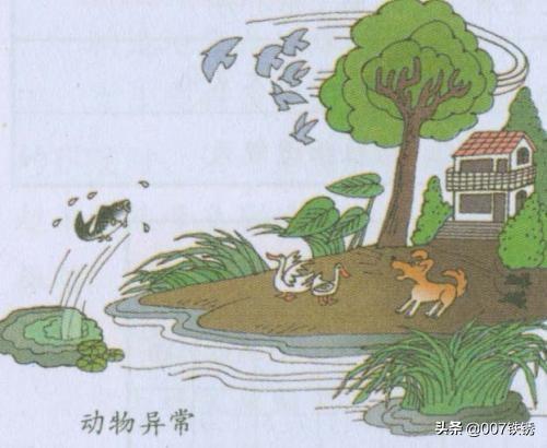 地震的前兆是什么（地震的前兆是什么有些什么）