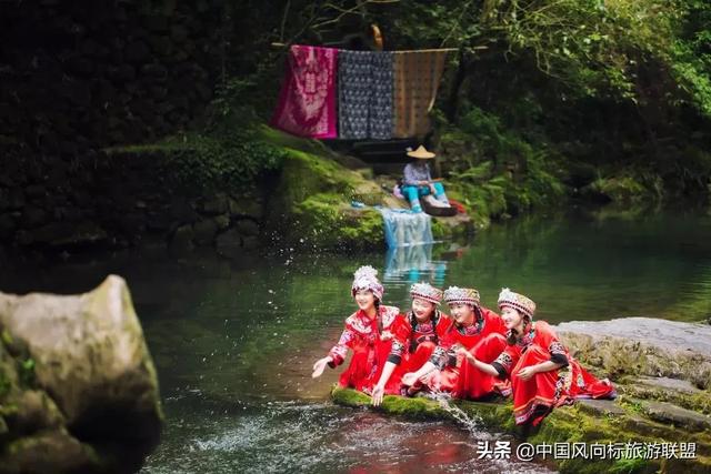 带46名老人去旅游