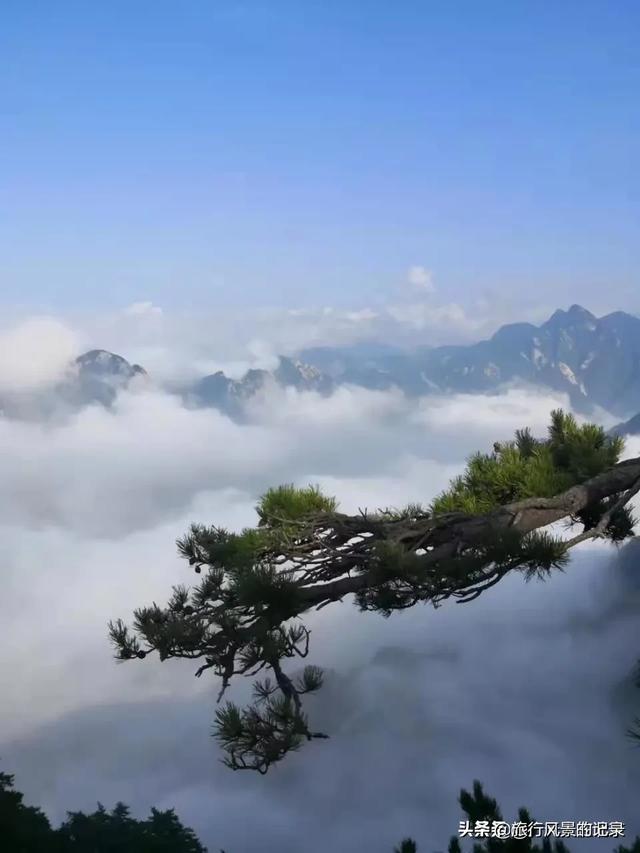 去云南旅游需要多少钱,什么时候去 全球旅游好,去云南旅游需要多少钱,什么时候去 全球旅游好