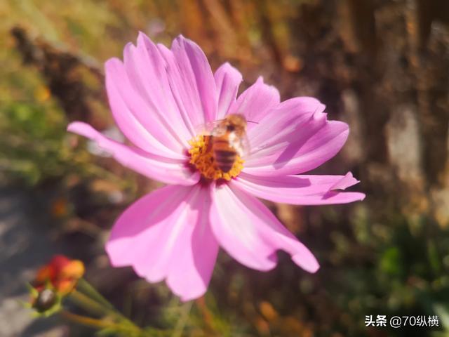 国内去哪里旅游最便宜省钱-去哪里旅游比较划算？
