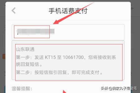 绿色版qq-绿色版qq音乐自动续费怎么取消