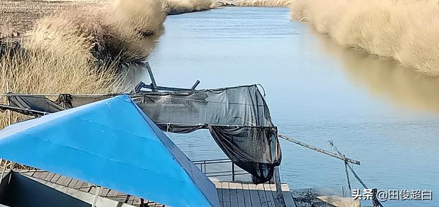 华雨农业养殖视频介绍大全，华雨农业养殖视频介绍大全集