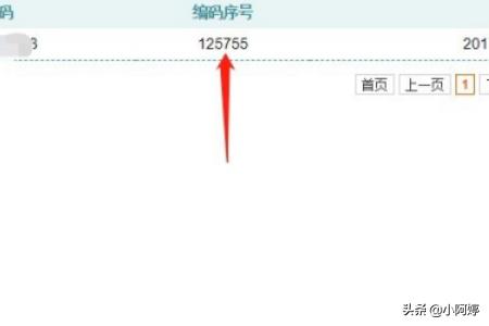 新能源中签结果怎么查-新能源中签结果怎么查询