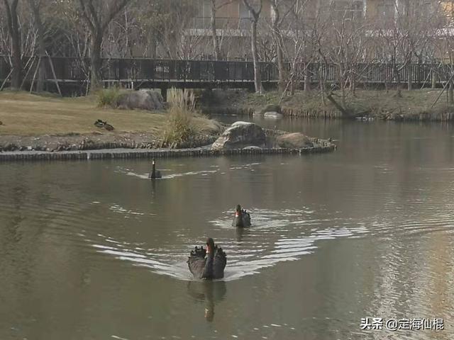 70年代，没手机，没电脑，人们玩什么呢？