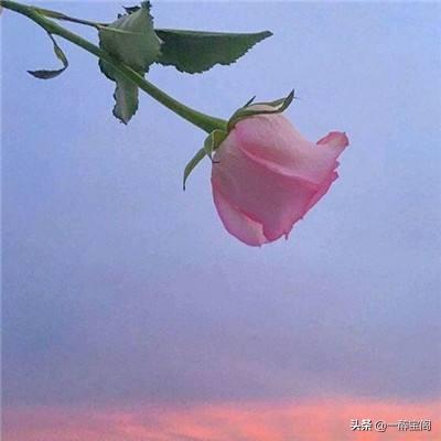 折磨一个人，最好的办法是什么,第2张