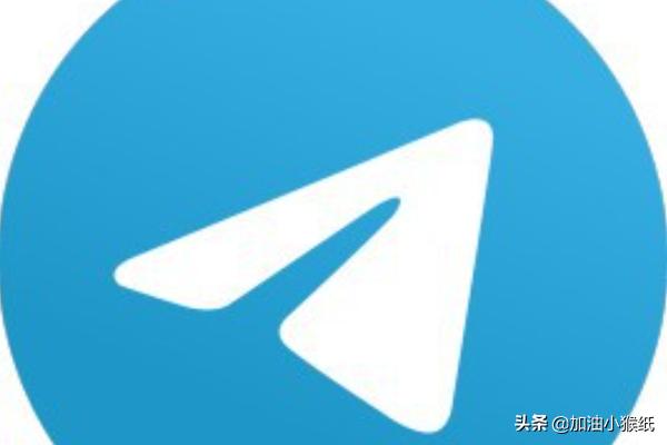 纸飞机怎么下载注册视频