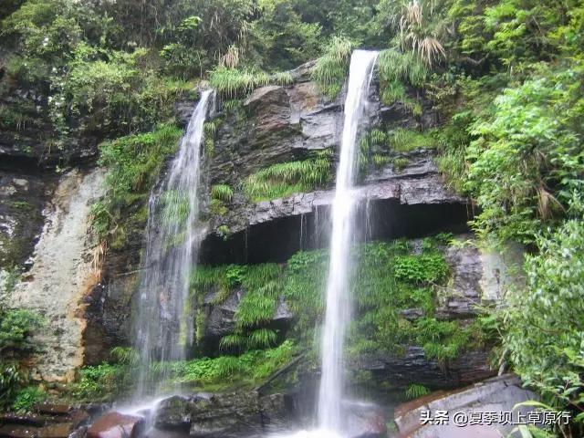 在上海和全家一日旅游适合的景点有哪些