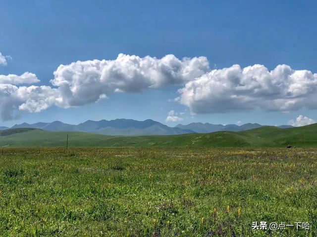 红原大草原-红原大草原海拔多少米