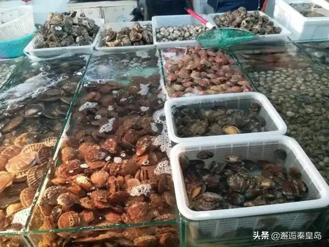 兴城渔村旅游路线攻略， 兴城渔村旅游路线攻略图