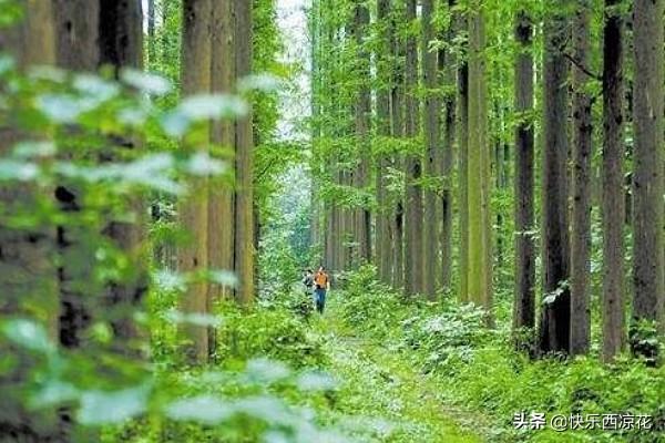 潜江景点-潜江景点有哪些