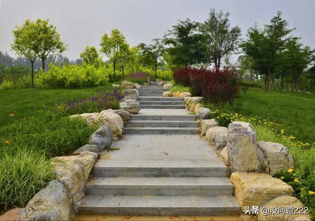 天津哪个树林最多