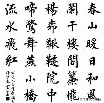 字体练习行楷书写