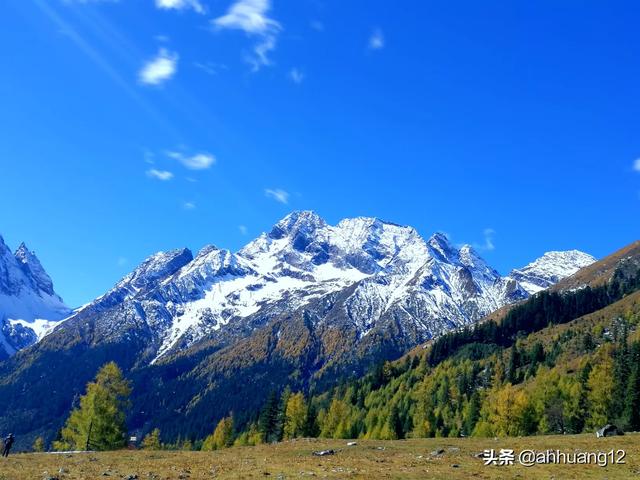 四姑娘山长坪沟旅游攻略-四姑娘山长坪沟旅游攻略自驾