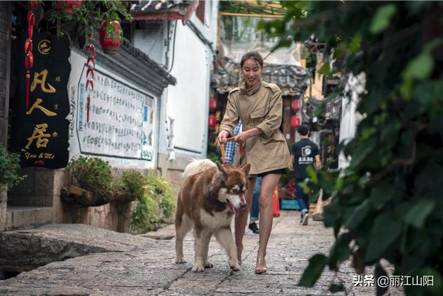 旅行社定制旅游-旅行社定制旅游产品的主要形式有