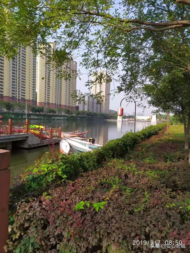 工作迷茫怎么改善一下(图1)