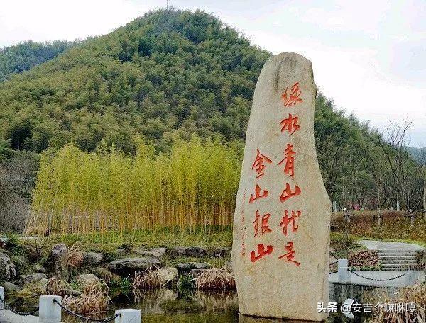 安吉白茶小篆字体