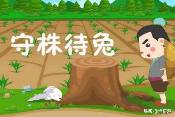 3个兔字叠在一起读什么名字 三个兔是什么字？