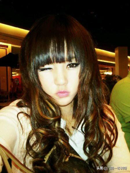 白象电影解说_白象电影简介