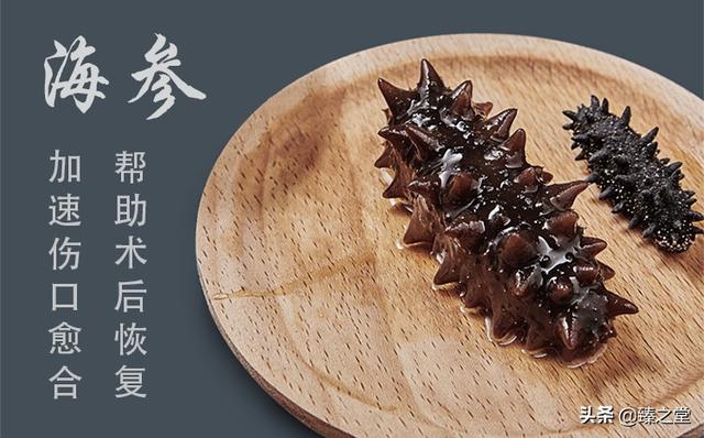 海参有什么特点和功效(图16)