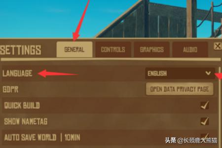 raft怎么设置中文？