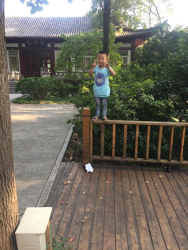 武汉大学婚纱照 武汉大学可以拍婚纱照吗