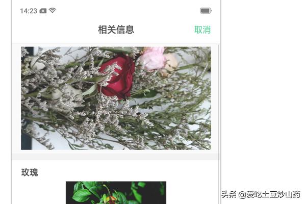 智慧识物智慧识物扫一扫便识物