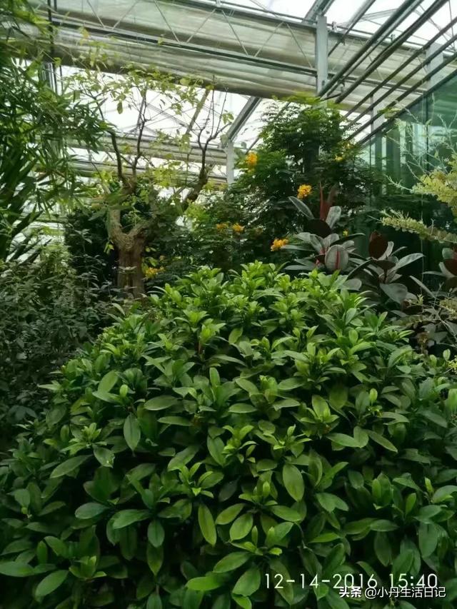 乌鲁木齐附近必去的景点(图5)